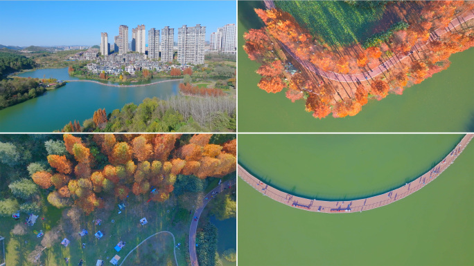 阅山湖秋景航拍