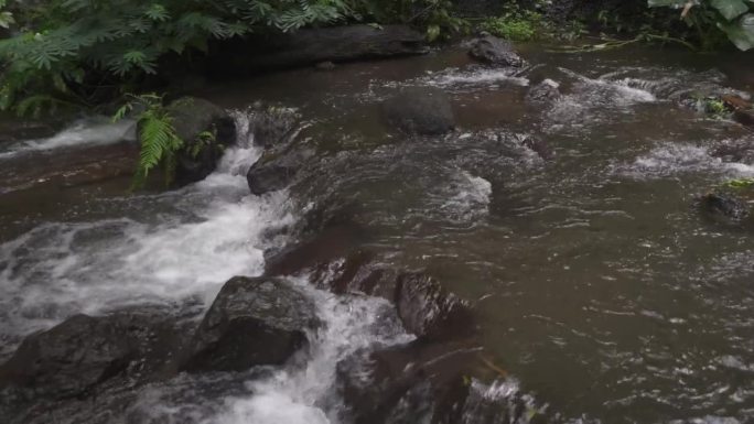 植物群和下梅兰亭瀑布，Wanagiri Sukasada Pancasari Sukasada, G