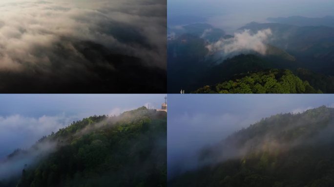森林烟雾缭绕