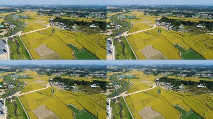 农田风景/京畿道利川市，韩国