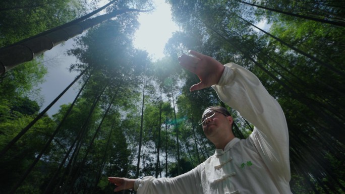 竹林中太极拳太极推手