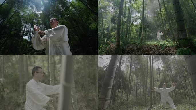 竹林中太极拳太极推手