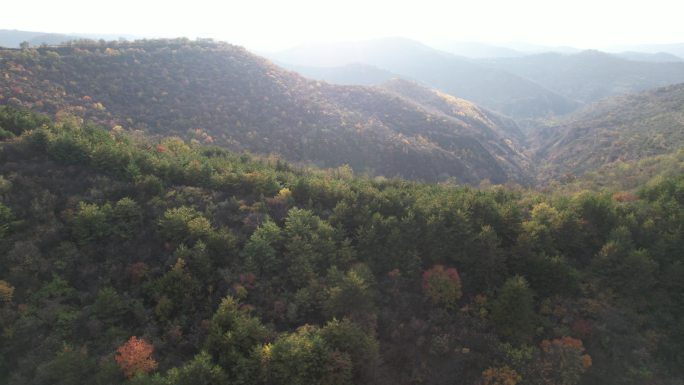 子午岭秋景