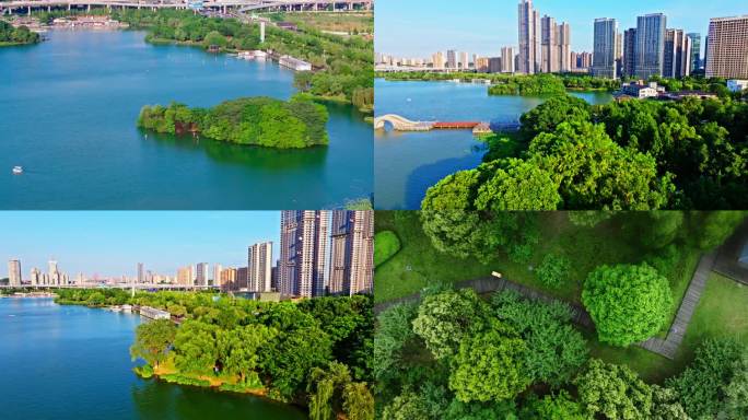 【4k合集】长沙月湖公园航拍