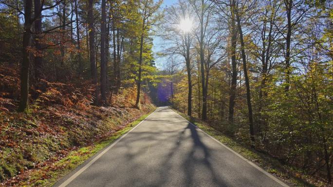 Forest road in autumn, Mudau, Odenwald, Baden-Würt