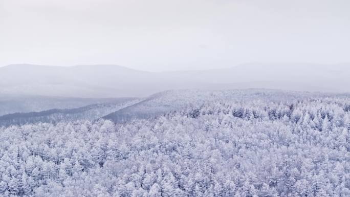 冬季雪山雾凇雪松树挂景观航拍