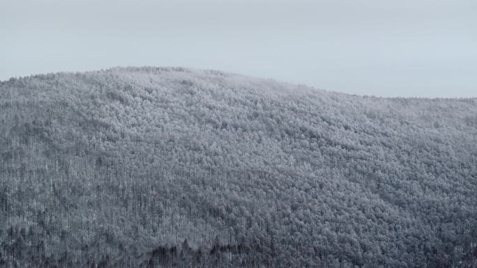 冬季雪山雾凇雪松树挂景观航拍