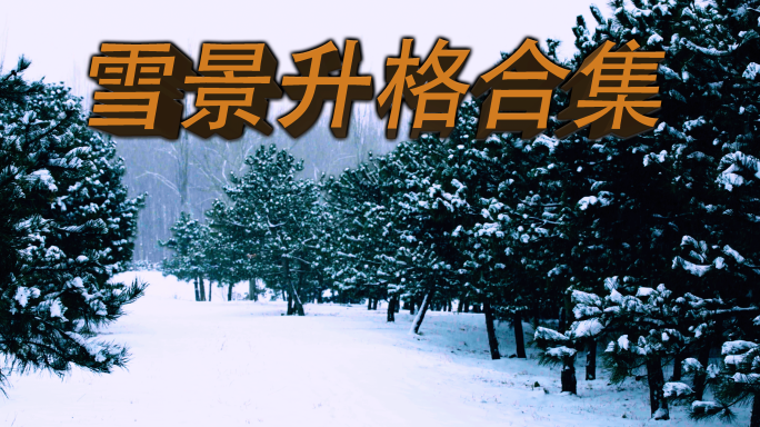 大雪升格多景别超长合集