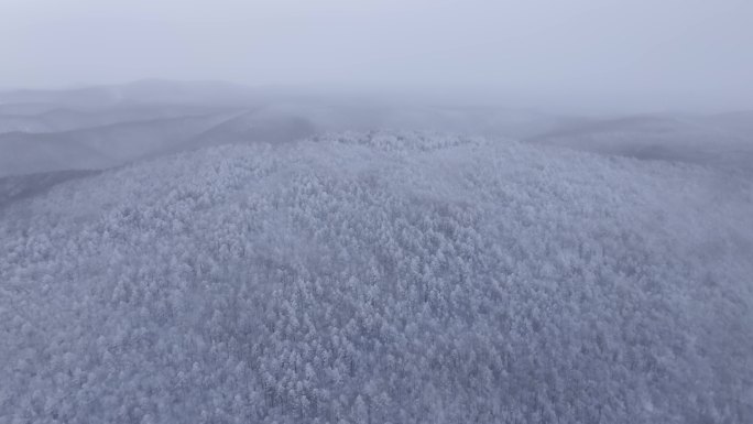 冬季雪山雾凇雪松树挂景观航拍