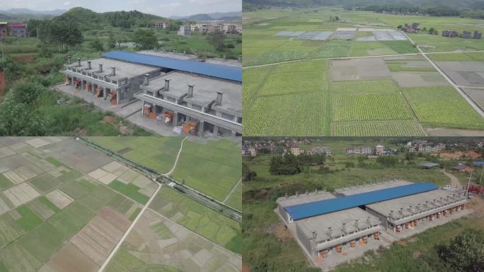 烟草烤房烤烟房烟田烟草种植烟叶农田航拍