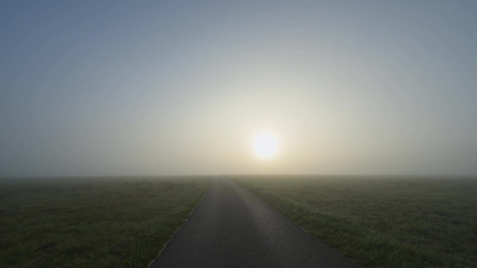 Meadow with road in fog at sunrise, Hardheim, Bade