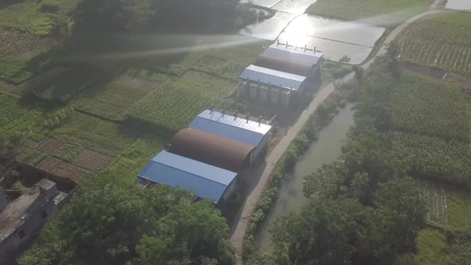 烟草烤房烤烟房烟田烟草种植烟叶农田航拍