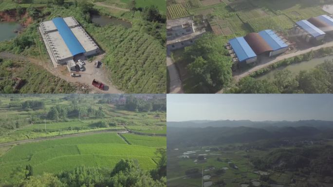 烟草烤房烤烟房烟田烟草种植烟叶农田航拍