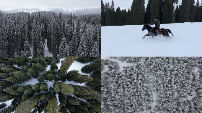 4K新疆冬季伊犁雪景原始森林骑马跟车航拍