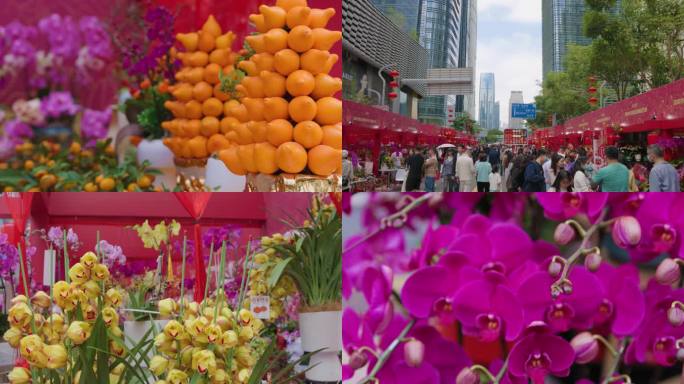 新春花市 广东花市 过年花市