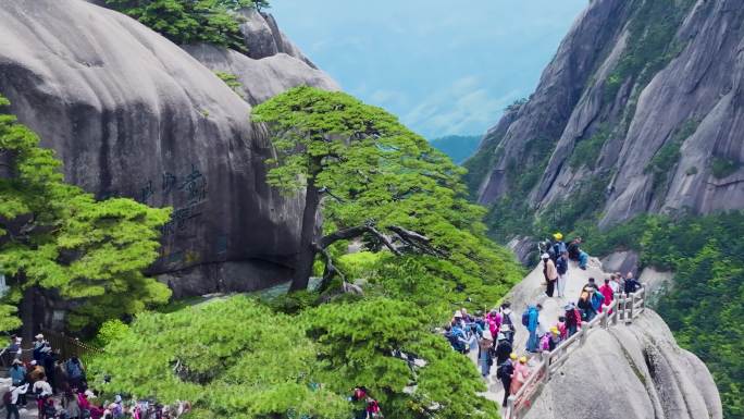 航拍黄山迎客松景点游客打卡点