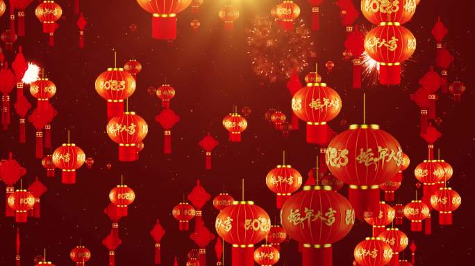 2025蛇年春节 灯笼 中国结