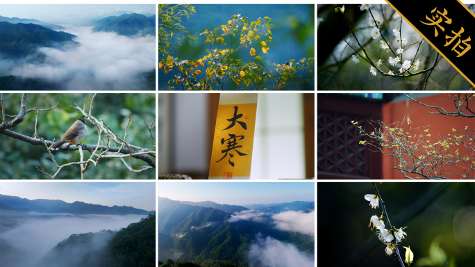 【原创大寒合集】冬日梅花山川云海风景视频
