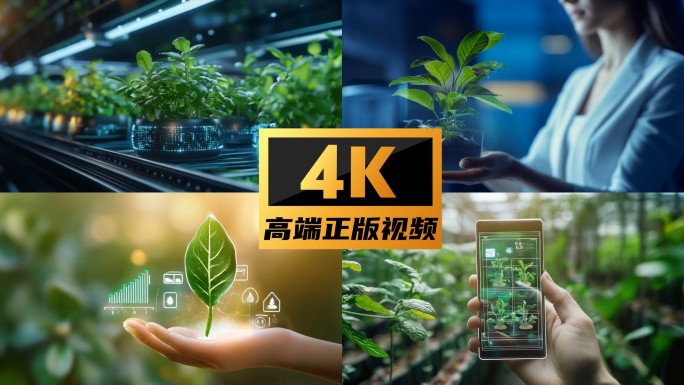 农业 农田 乡村 新农村 现代农业视频
