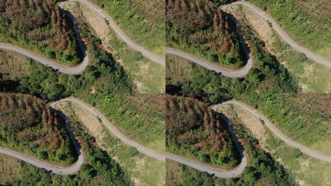 越南山脉和森林中蜿蜒道路的鸟瞰图。