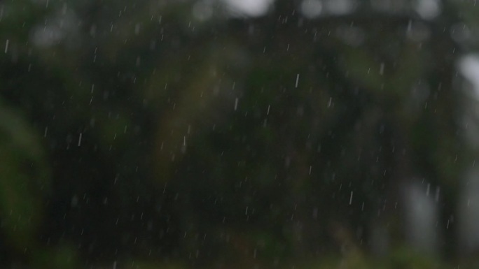 雨季落下的雨滴