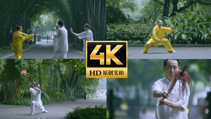 老年人健康生活公园晨练健身锻炼打拳武术