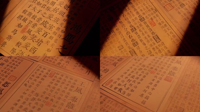 诗经 楚辞 雅颂诗篇古典文学文字
