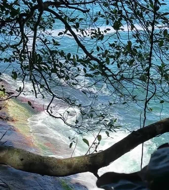 从丛林俯瞰悬崖和海洋中的蓝色波浪，巴西里约热内卢。