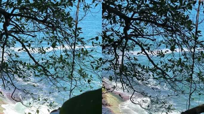 从丛林俯瞰悬崖和海洋中的蓝色波浪，巴西里约热内卢。