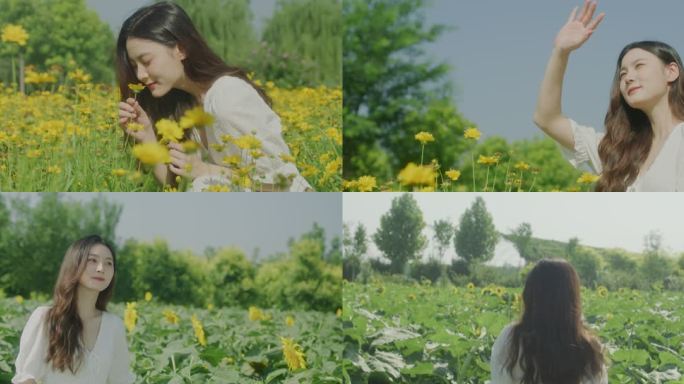 花丛中的女孩赏花的女生向日葵花丛中的少女
