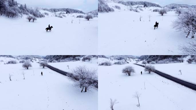 重庆武隆仙女山雪景雪场骑马