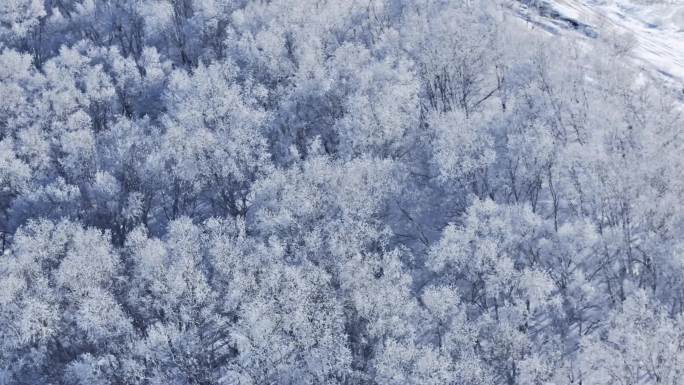 【合集】冬季雾凇雪原雪景航拍