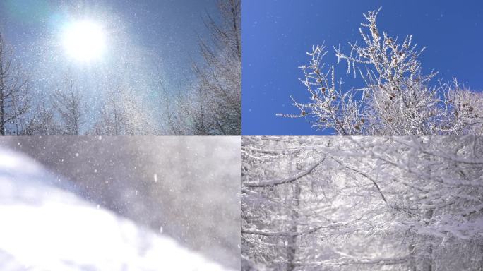 雪雪景雾凇