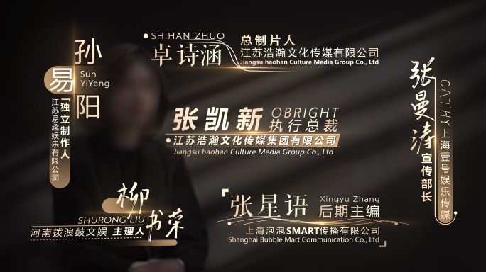 高端金色人名条字幕特效