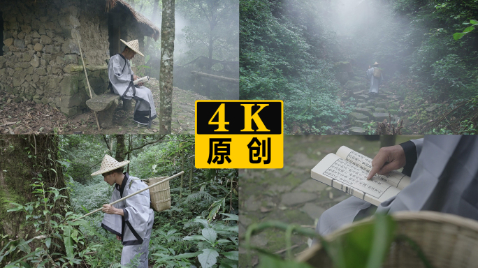 采草药古人隐居山林里采挖中草药