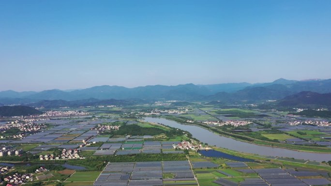 农场里的蔬菜棚