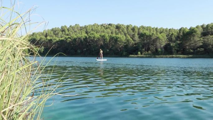 女人在湖上划立式单桨冲浪板。夏季运动。