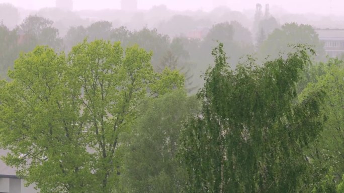 暴雨来临之前，城里下着倾盆大雨