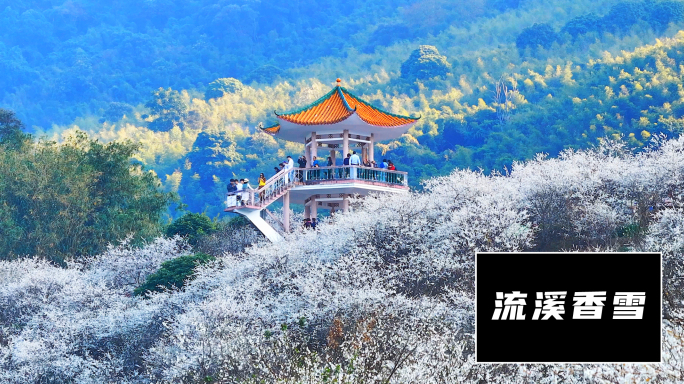 从化流溪香雪流溪河合集