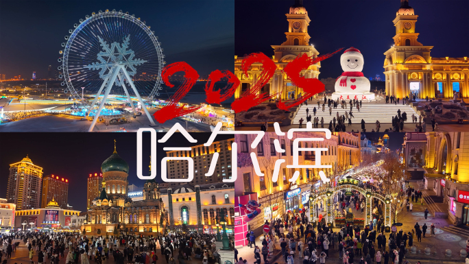 哈尔滨夜景冰雪大世界索菲亚教堂中央大街