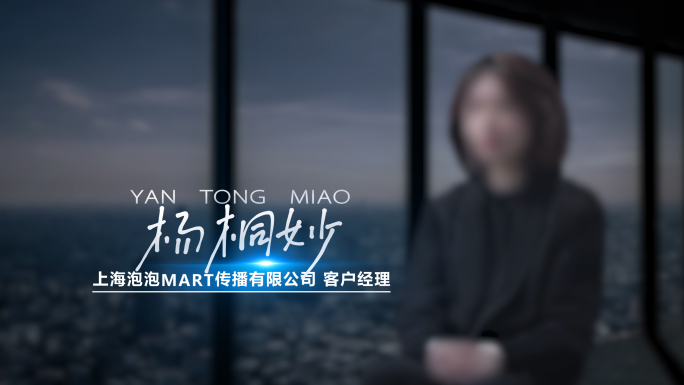 简洁科技感人名条字幕特效