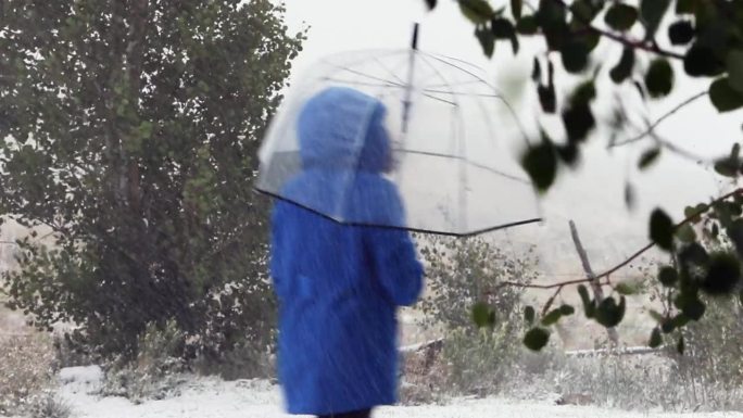 反常的气候不好