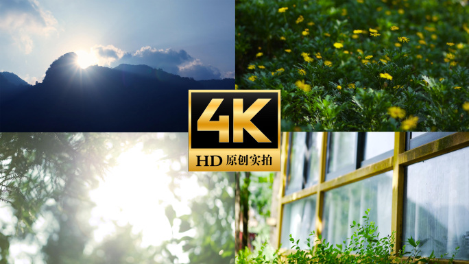 夏天清晨阳光花园小清新午后时光清凉夏夜