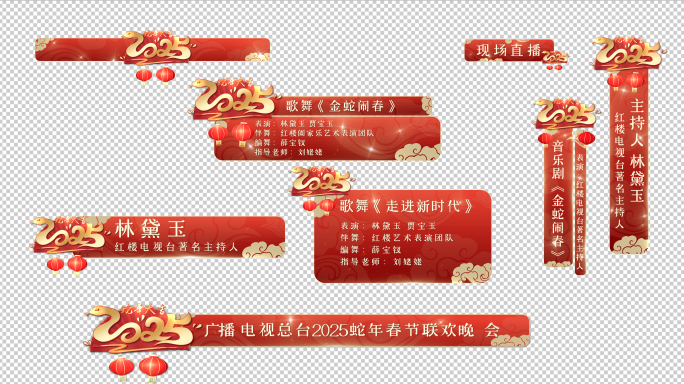 2025蛇年晚会字幕条人名条2