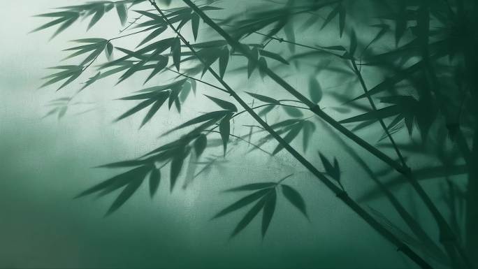 4K竹子竹林幽静水墨背景视频