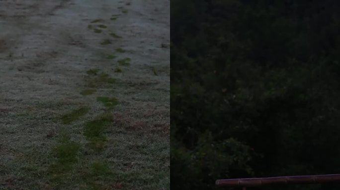 旷野之息 暗调自然情绪氛围