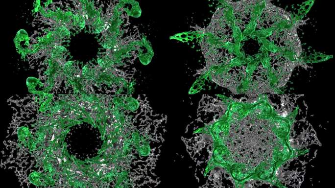 抽象金属圆扭曲形状，抽象发动机螺旋，流体移动旋转银金属链圆无缝环动画。