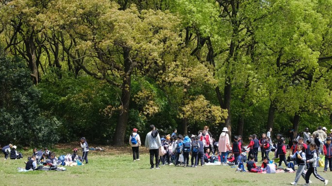 共青森林公园春天 湖边 小孩春游 树林