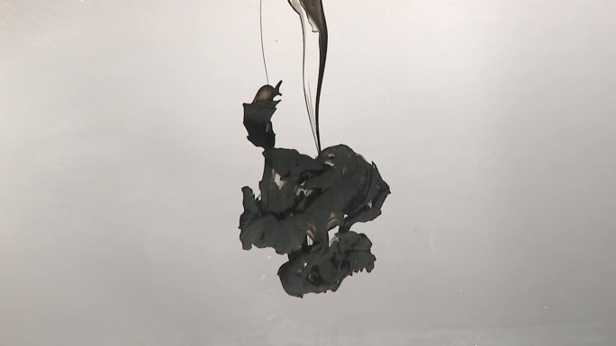 液体:颜料滴，黑色墨水水和油的慢动作