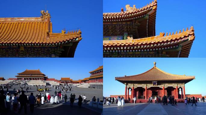 2025年故宫旅游游客人流
